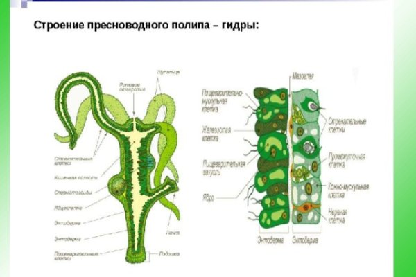 Кракен почему пользователь не найден